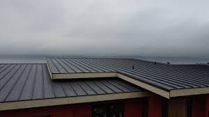 Best Green or Eco-Friendly Roofing Solutions  in St Augusta, MN